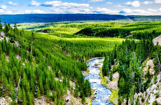 downstream river in the mountains